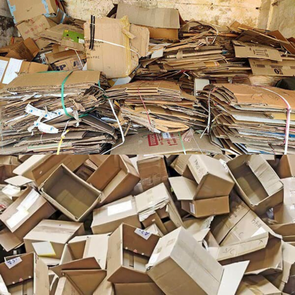 Thu mua giấy vụn